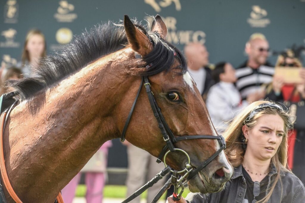Tor Wyścigów Konnych Służewiec otworzył sezon